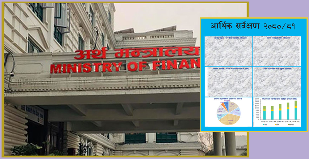 Economic Survey